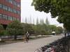 大学时光
